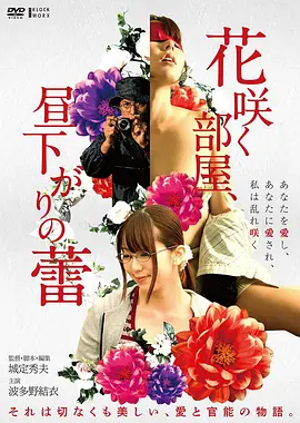 深海来信 金桔影院高清影视